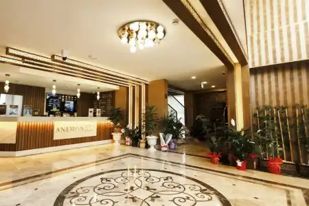 Anemon Usak Otel - 1
