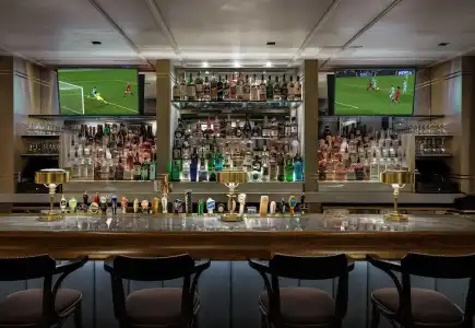 Merrion Row and Public House - 20