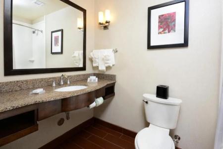 Hilton Garden Inn Greensboro Airport - 75