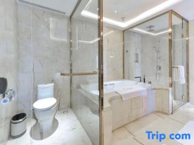 Wyndham Grand Plaza Royale Huayu Chongqing - 80