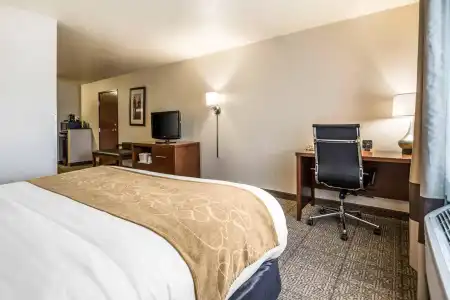 Comfort Suites at Par 4 Resort - 64