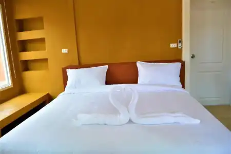 World Cat & Resort - 94
