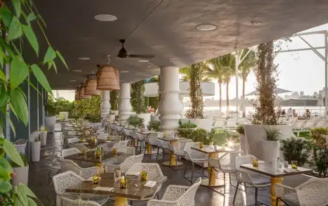 Mondrian South Beach - 12