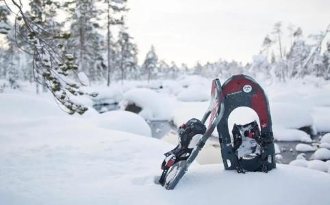 Wilderness Inari & Igloos - 9