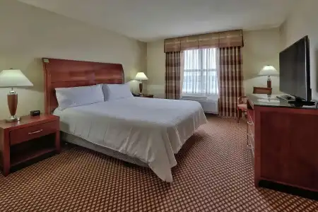 Hilton Garden Inn Las Cruces - 63