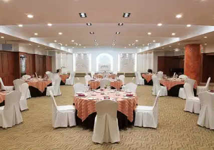 Paragon - 18