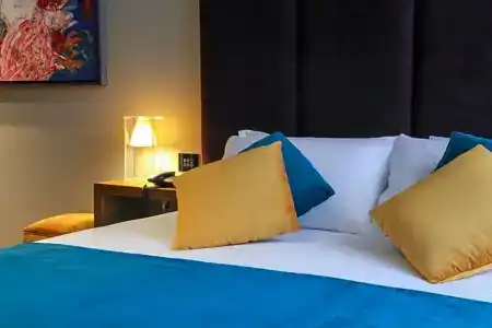 Triviho - 47