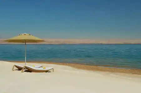 Hilton Dead Sea Resort & Spa - 25