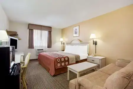 Super 8 by Wyndham Clearwater/St. Petersburg Airport - 2