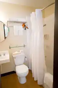 Stay Waikiki - 35