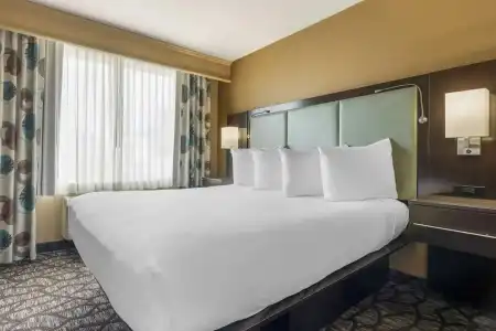 Best Western Plus Oceanside Palms - 73