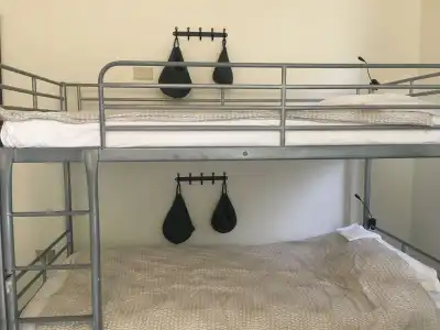 The Beehive Hostel - 14