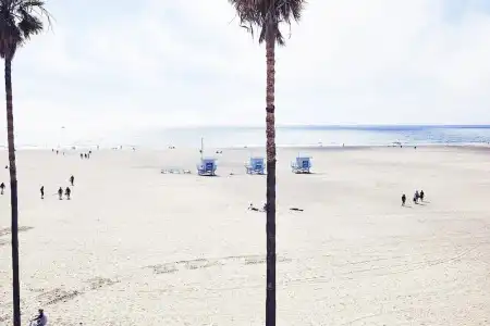 Venice V - 17