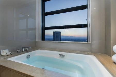 Park Hyatt Tokyo - 16