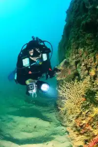 del golfo - 22