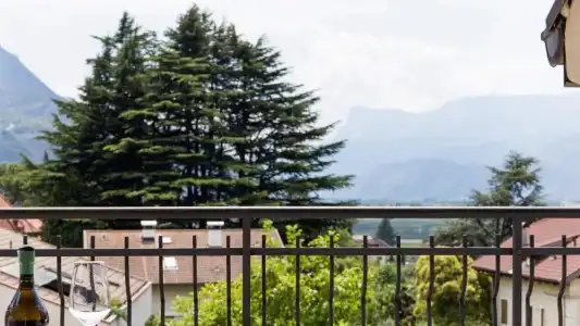 Villa Laurus - 27
