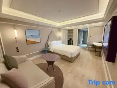 Mercure Xi'an Downtown - 89