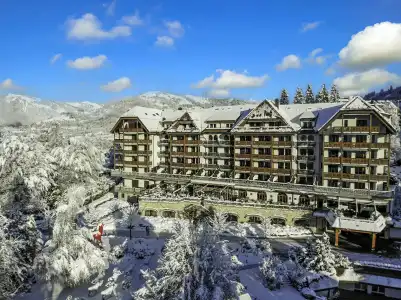 Park Gstaad - 20