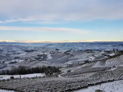 Villa Bellavista Alba - 71