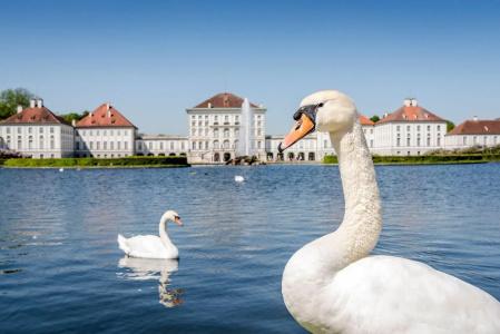 Laimer Hof Nymphenburg Palace Munich - 15