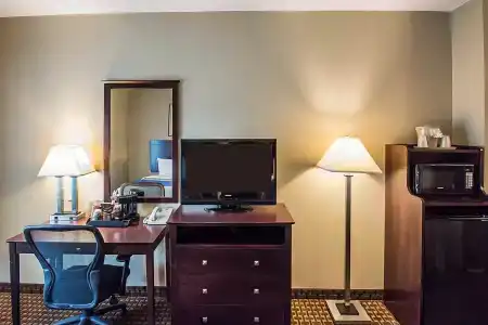 Comfort Inn Rochester - 6
