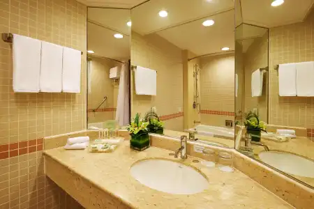 Holiday Inn Singapore Atrium by IHG - 5