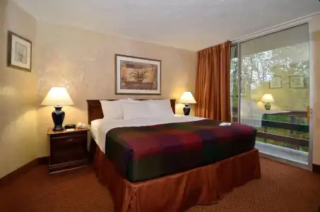 Best Western Branson Inn And Conference Center - 42