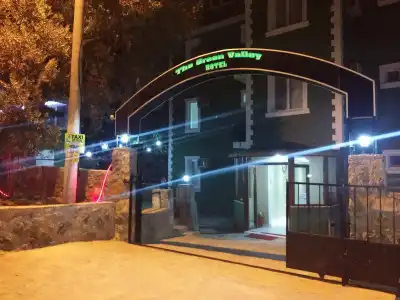 The Green Valley - 10