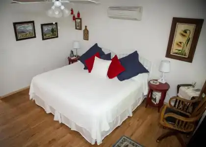 Red Horse Bed and Breakfast - 25