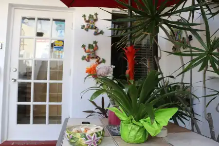Luxury Home Villa D' Amore Southern Florida Paradise Sleeps 10 5 Bedroom Villa by RedAwning - 8