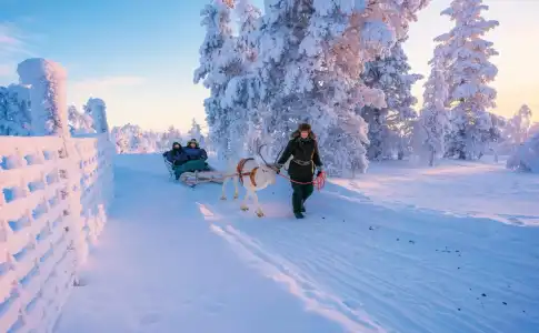Star Arctic & Activities - 24