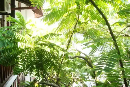 Comfort Inn- Galle Fort - 96
