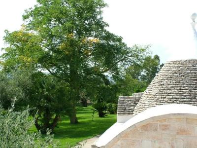 Masseria Cappuccini - 19