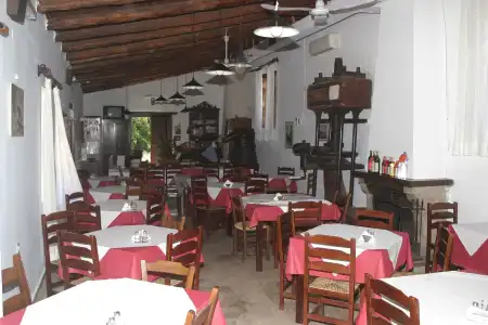 Oasis Guesthouse - 16
