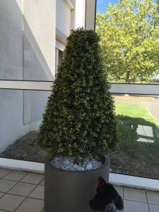 Greet Chartres Est - 18