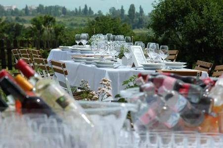 Koczor Winery & Guesthouse - 8