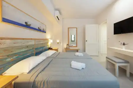 Erato Adults Only - 37