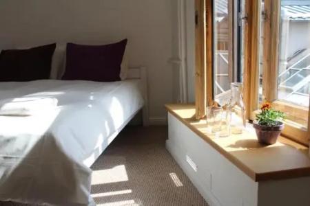 Tree House HOSTEL - 1