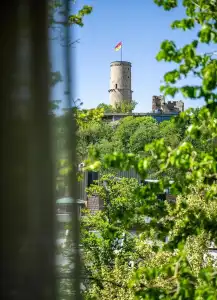 Insel - 26