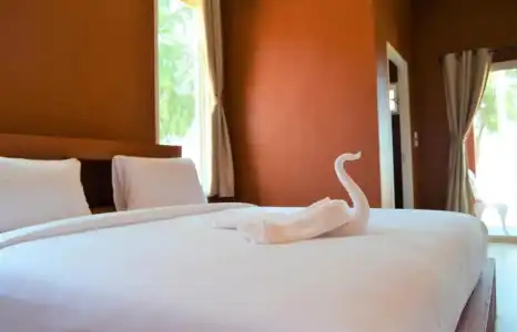 World Cat & Resort - 84