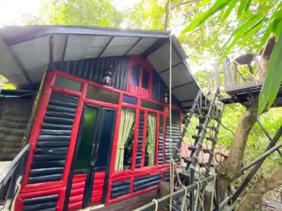 Khao Sok Tree House - 36