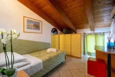 Stella d'Oro - 35