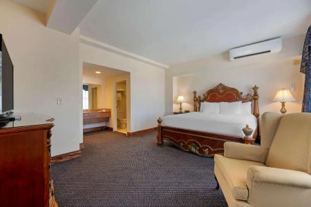 Flor Tampa Downtown, Tapestry Collection by Hilton - 27