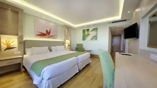 Bull Costa Canaria & Spa - Adults only - 80