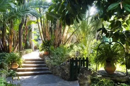 La Villarosa - 20