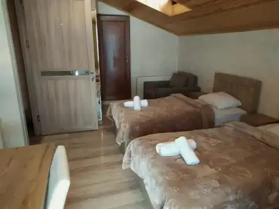 Nino Ratiani's Guesthouse - 10
