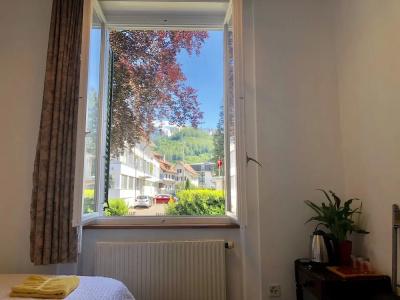 Interlaken Marco Guest House - 19