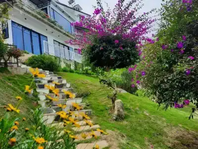 An Garden - 114