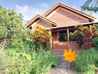 Phu Quoc Pomelo Garden - 61