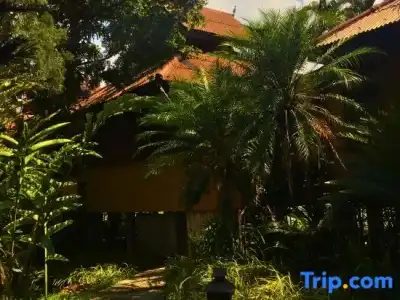 Pai Hotsprings Spa Resort - 74